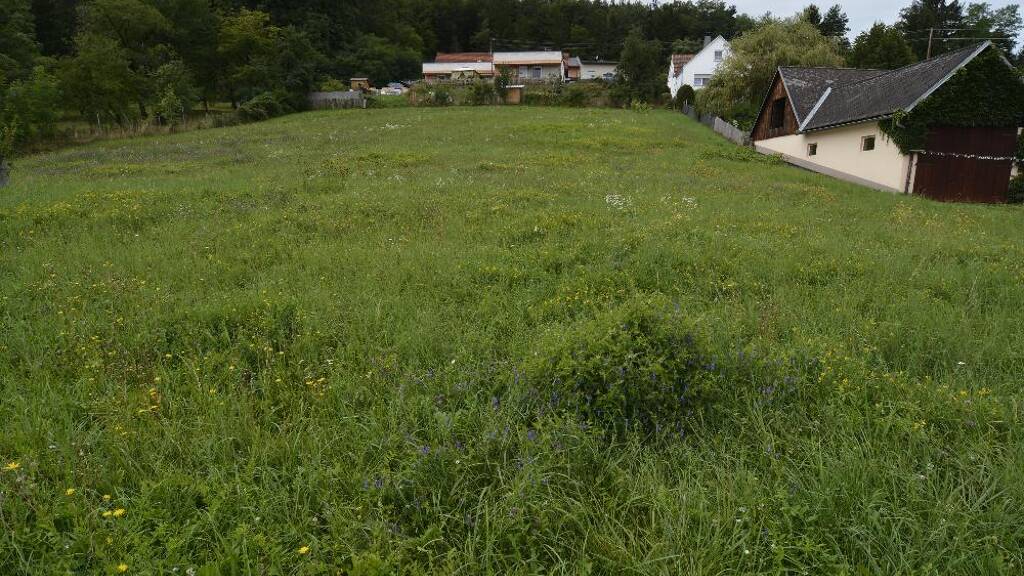 Grundstück zum Kauf 104.999 € 2.592 m² Grundstück Sankt Martin an der Raab, Gritsch, Doiber, Jenners 8383