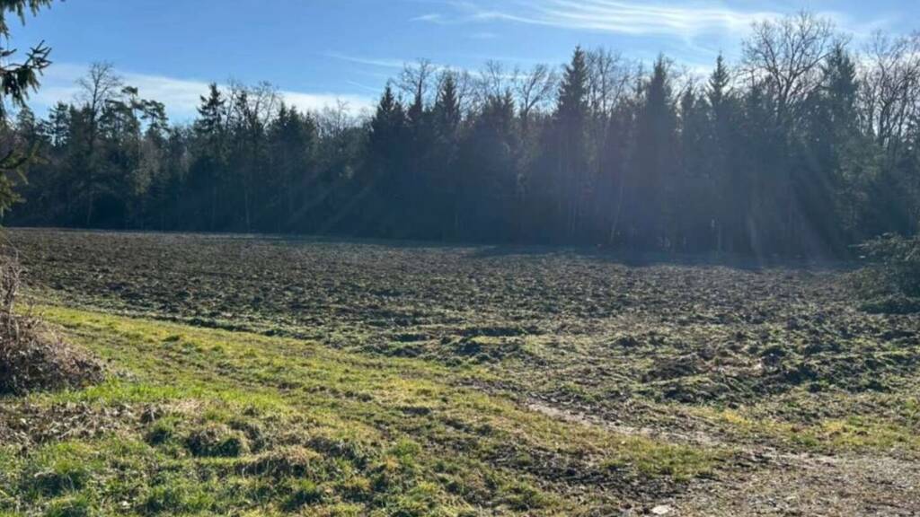 Grundstück zum Kauf 75.000 € 12.208 m² Grundstück Rabenhof 8423