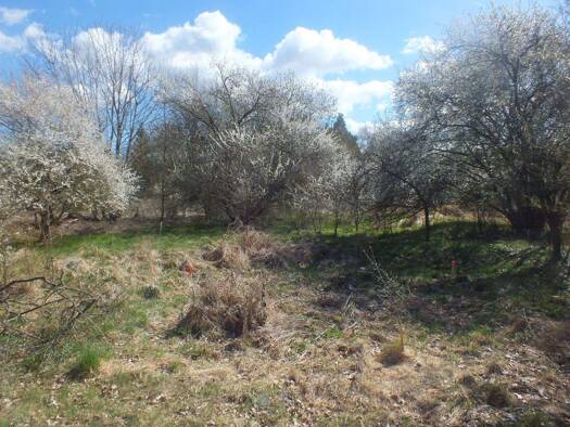 Grundstück zum Kauf provisionsfrei 48.400 € 605 m² Grundstück Baugenehmigung vorhanden Rosenower Straße Hardenbeck Boitzenburger Land 17268