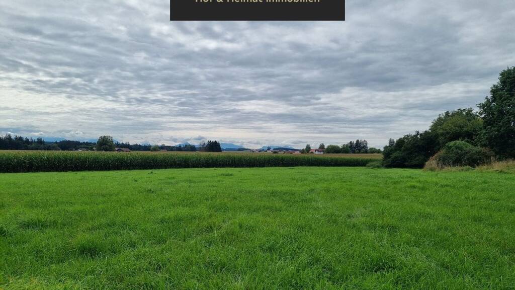 Bauernhaus zum Kauf 15 Zimmer 647 m² 9.673 m² Grundstück frei ab sofort Mühldorf 84453