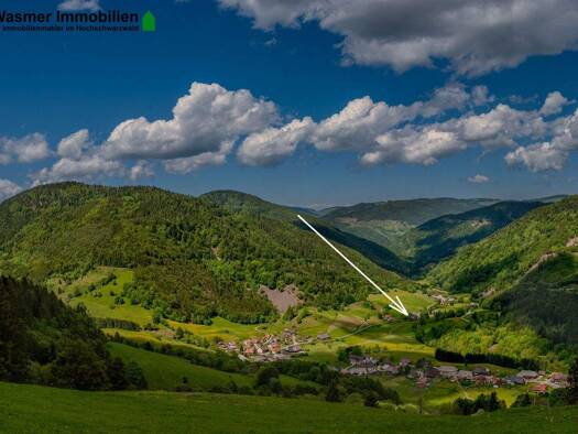 Bauernhaus zum Kauf 295.000 € 6 Zimmer 185 m² 977 m² Grundstück frei ab sofort Präg Todtnau 79674