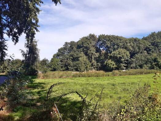 Grundstück zum Kauf 120.000 € 2.632 m² Grundstück Poggenhof 0 Poggenhof Schaprode OT Poggenhof 18569