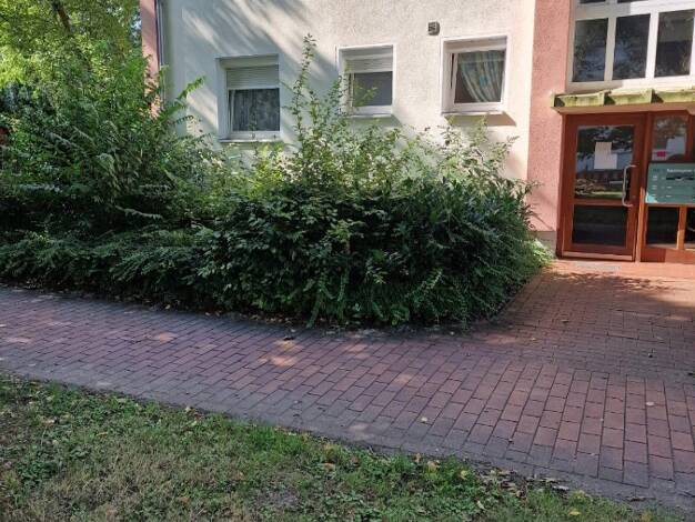 Wohnung zum Kauf 127.000 € 3 Zimmer 61,3 m² EG Burgdamm Nord 28719