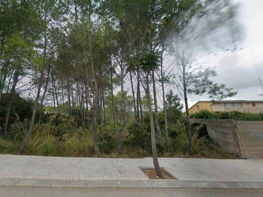 Acker-/Waldstück zum Kauf 105.000 € Sant Pere de Ribes 08810