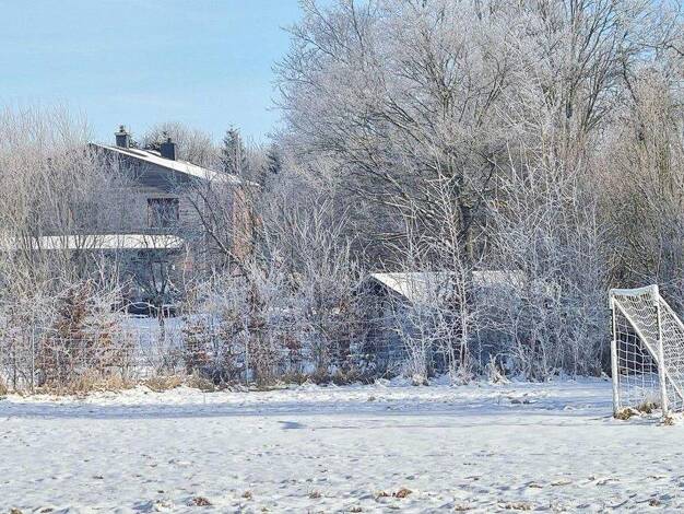 Einfamilienhaus zum Kauf provisionsfrei 790.000 € 9 Zimmer 285 m² 12.500 m² Grundstück Stubben Neuengörs 23818