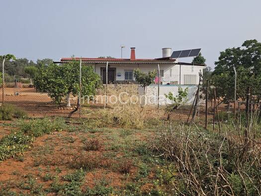 Landhaus zum Kauf 180.000 € 6 Zimmer 90 m² 35.595 m² Grundstück Paterna del Campo 21880