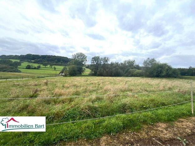 Grundstück zum Kauf 224.800 € 4.000 m² Grundstück Körrig Merzkirchen / Körrig 54439