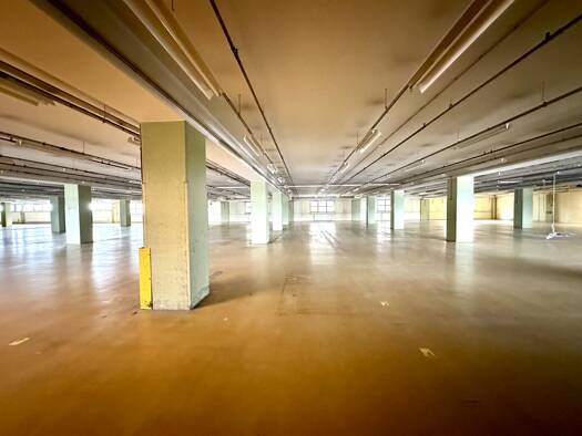 Halle/Industriefläche zur Miete 12.800 € 3.657 m² Lagerfläche Triester Straße Puntigam Graz 8055