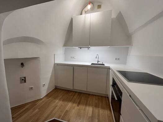 Studio zur Miete 777 € 1 Zimmer 42 m² 2. Geschoss Wien 1010