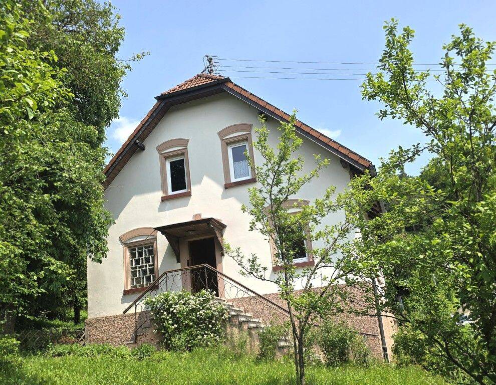 Schönes Jahrhundert-Haus mit sehr  großem Grundstück, Stall und Schopf