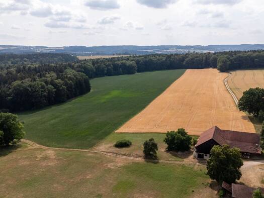 Landwirtschaftliche Fläche zum Kauf 155.500 m² Grundstück Paarstadl Beratzhausen 93176