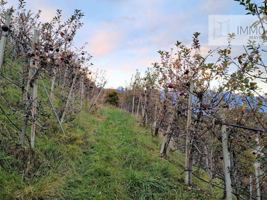 Land-/Forstwirtschaft zum Kauf 250.000 € 7.859 m² Grundstück Tisens 39010