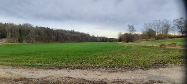 Landwirtschaftliche Fläche zum Kauf 190.000 € 35.000 m² Grundstück Sternbach Amerdingen 86735