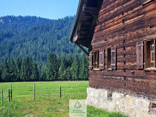 Gewerbegrundstück zum Kauf 1.981.360 m² Grundstück Balderschwang 87538