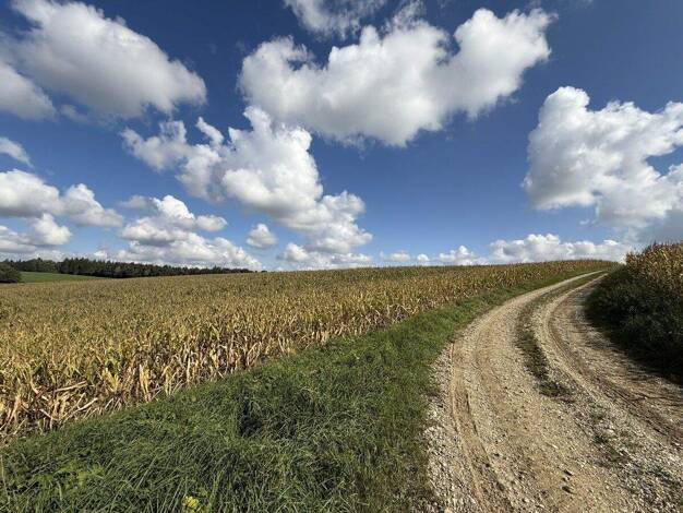 Land-/Forstwirtschaft zum Kauf 250.000 € 16.001 m² Grundstück Pilsting Pilsting / Großköllnbach 94431