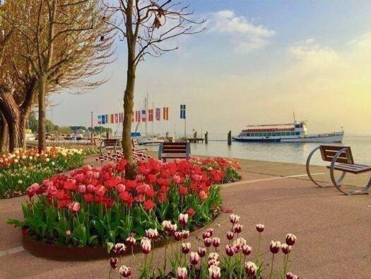 Studio zur Miete 3 Zimmer 80 m² 3. Geschoss frei ab sofort Bardolino 37011