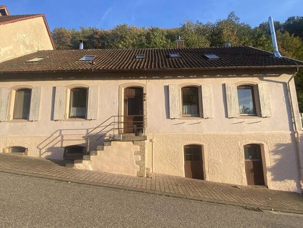 Mehrfamilienhaus zum Kauf provisionsfrei 239.000 € 5 Zimmer 160 m² 1.450 m² Grundstück Falkenstein Falkenstein 67808