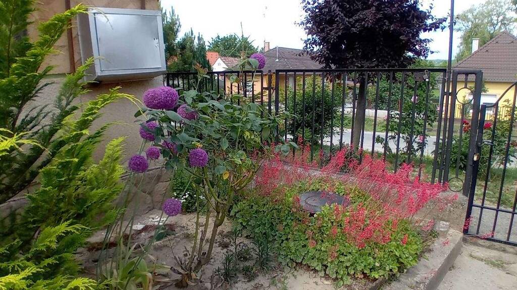 Einfamilienhaus zum Kauf 72.500 € 3 Zimmer 73 m² 2.745 m² Grundstück Nagycsepely