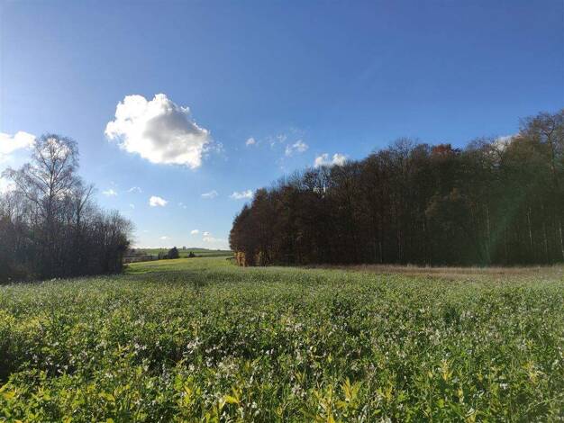 Reihenmittelhaus zum Kauf 5 Zimmer 121 m² 100 m² Grundstück Wiblingen Ulm 89079