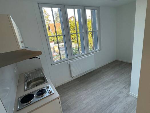 Wohnung zur Miete 450 € 1 Zimmer 20 m² frei ab sofort Offenbach am Main Offenbach am Main 63071