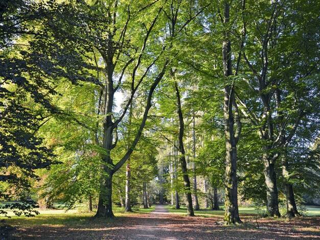 Wohnung zum Kauf 1.590.000 € 4 Zimmer 139 m² 2. Geschoss Au-Haidhausen München 81541