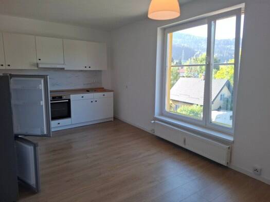 Wohnung zur Miete 373 € 2 Zimmer 45 m² 2. Geschoss frei ab sofort Langenwang 8665