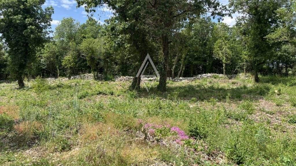 Land-/Forstwirtschaft zum Kauf 189.000 € Sveti Lovrec Sveti Lovrec