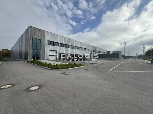 Halle/Industriefläche zur Miete 15.000 m² Lagerfläche teilbar ab 5.000 m² Griesheim Frankfurt am Main 65933