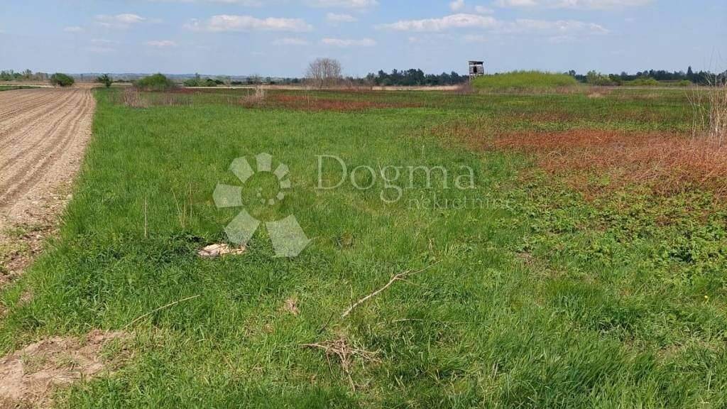 Land-/Forstwirtschaft zum Kauf 12.000 € Varazdin