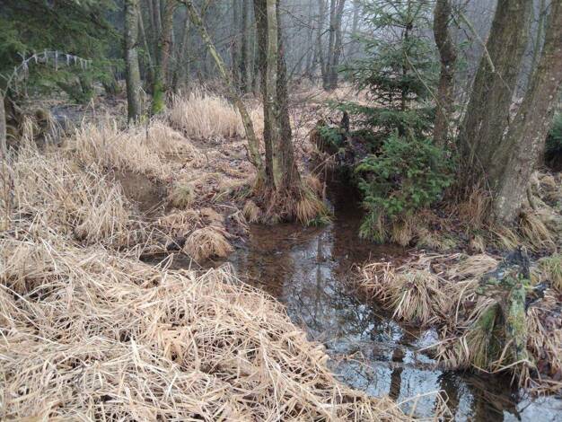 Teich-/Fischwirtschaft zum Kauf provisionsfrei 125.000 € Details bei Anfrage Vitis 3902