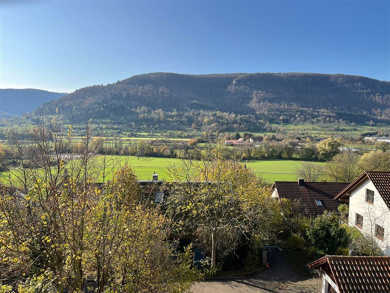 Wohnung zum Kauf 295.000 € 3 Zimmer 92 m² Dachgeschoss, 3. Geschoss Bad Urach Bad Urach 72574