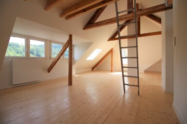 Wohnung zur Miete 600 € 1 Zimmer 55,5 m² frei ab 15.02.2025 Saarburg Saarburg 54439