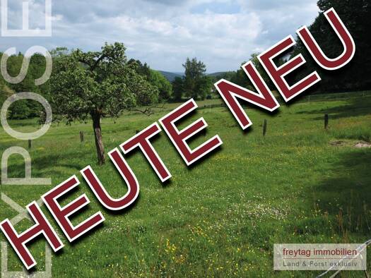 Bauernhaus zum Kauf 175.000 € 8 Zimmer 200 m² 8.895 m² Grundstück Amelith Bodenfelde 37194