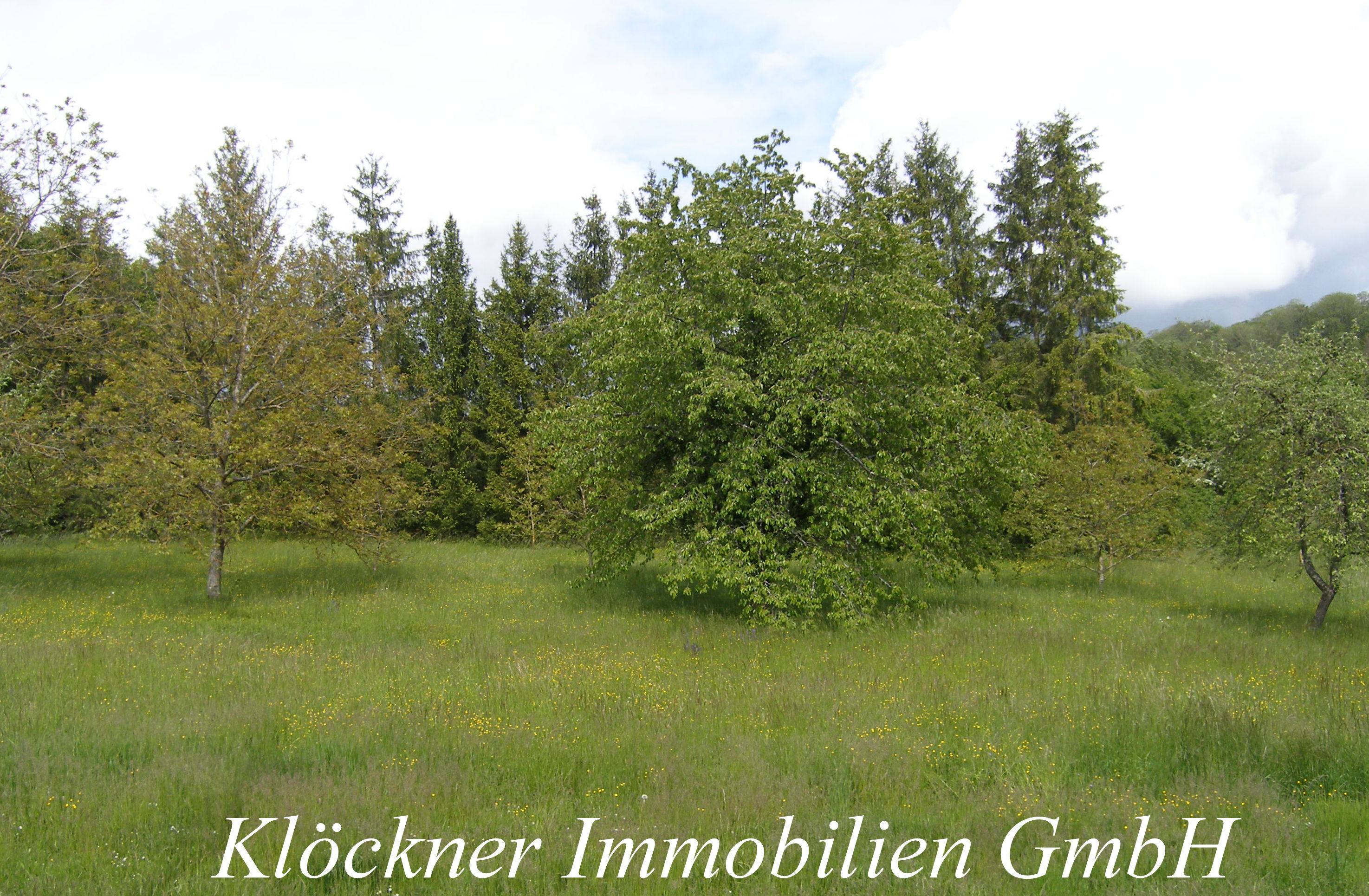 Grundstück zum Kauf 375.000 € 2.200 m²<br/>Grundstück Bübingen Saarbrücken 66129