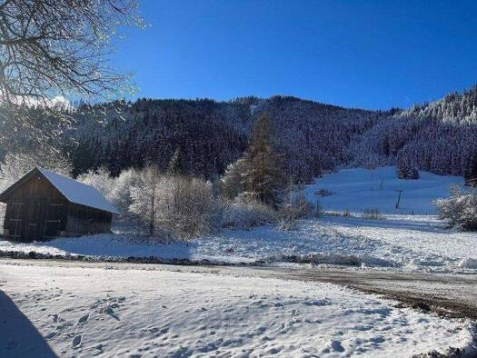 Grundstück zum Kauf 69.000 € Gnesau 9563