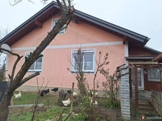 Einfamilienhaus zum Kauf 218.000 € 3 Zimmer 90 m² 1.237 m² Grundstück Eberau 7521