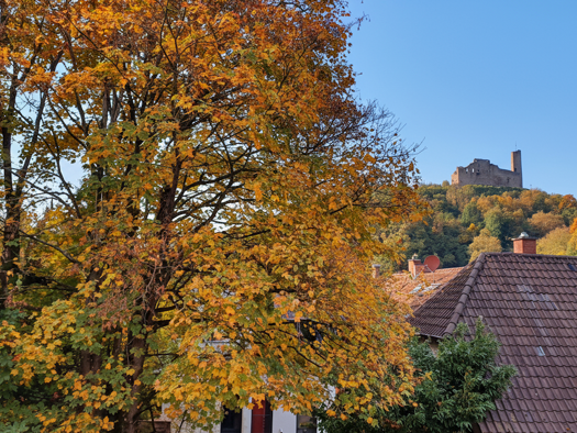 Penthouse zur Miete 2.090 € 3 Zimmer 173 m² 3. Geschoss Weinheim 69469