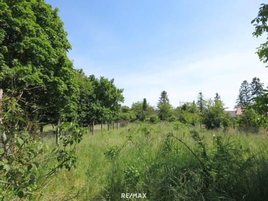 Grundstück zum Kauf 135.000 € 1.238 m² Grundstück Breitensee 2294