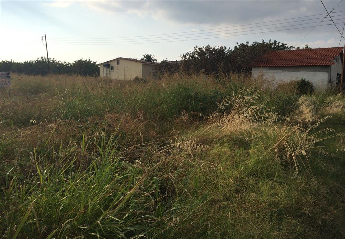 Land-/Forstwirtschaft zum Kauf 600.000 € 6.930 m²<br/>Grundstück Chalkidiki