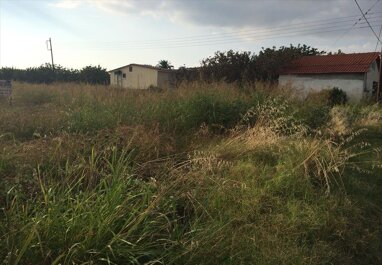 Land-/Forstwirtschaft zum Kauf 600.000 € 6.930 m² Grundstück Chalkidiki