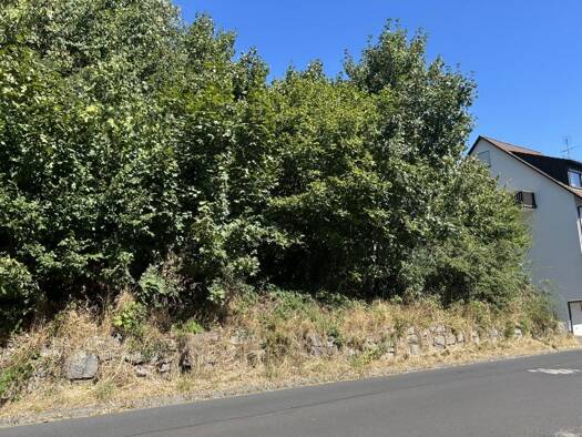 Grundstück zum Kauf 36.500 € 677 m² Grundstück Bad Brückenau Bad Brückenau 97769