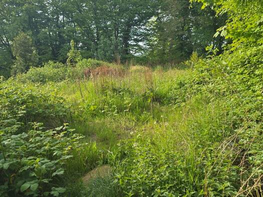 Grundstück zum Kauf 95.000 € 543 m² Grundstück Burg Dithmarschen 25712