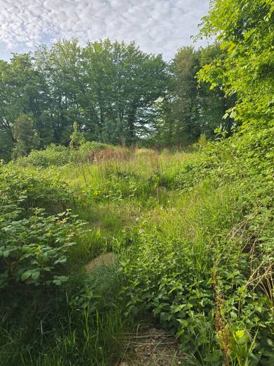 Grundstück zum Kauf 95.000 € 543 m² Grundstück Burg Dithmarschen 25712