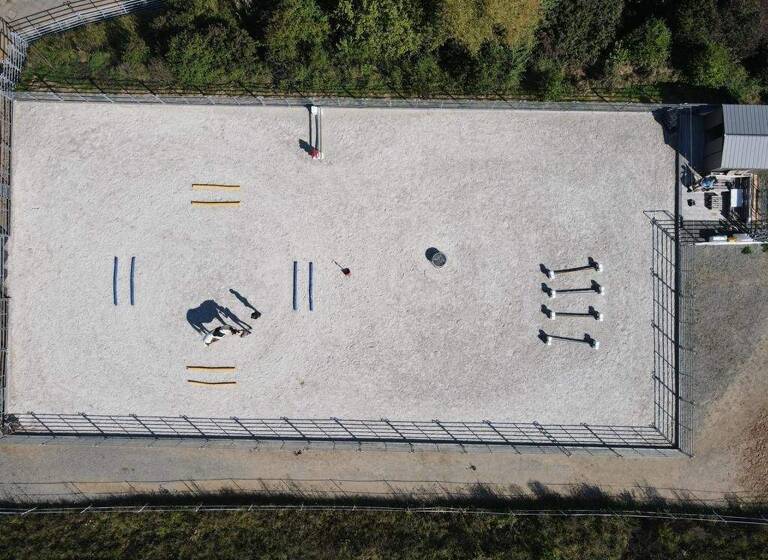 Reiterhof zum Kauf provisionsfrei 899.000 € 187 m² 22.214 m² Grundstück Gerichtstetter Straße 72 Gerichtstetten Hardheim 74736