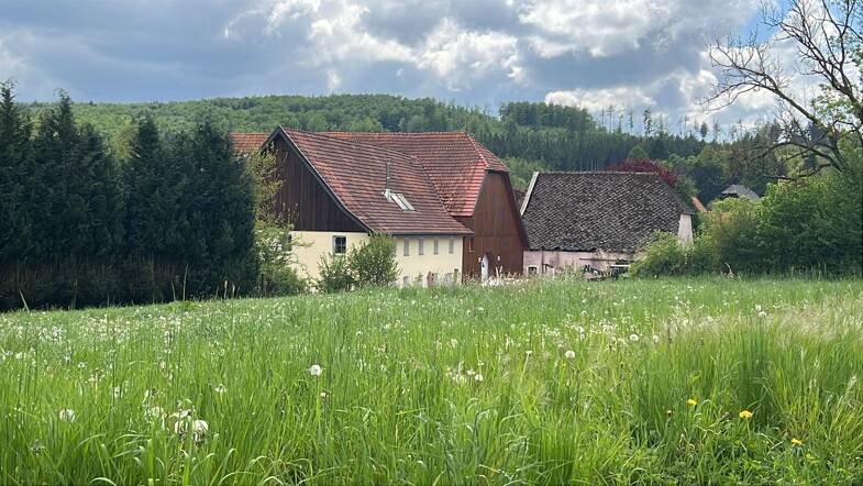 Land-/Forstwirtschaft zum Kauf 1.485.000 € 330 m² 400.000 m² Grundstück Merlsheim Nieheim 33039