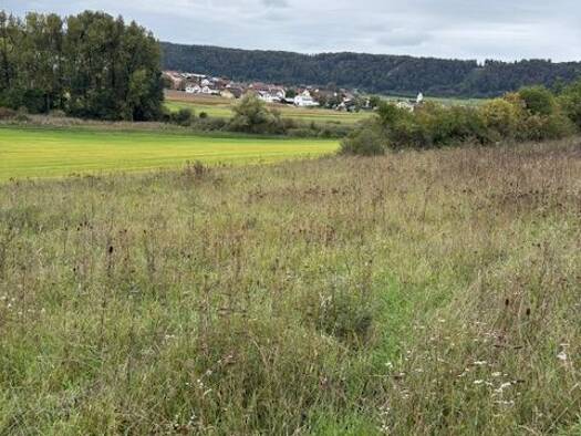 Grundstück zum Kauf provisionsfrei 83.000 € 7.310 m² Grundstück Altmühlweg Böhming Kipfenberg 85110