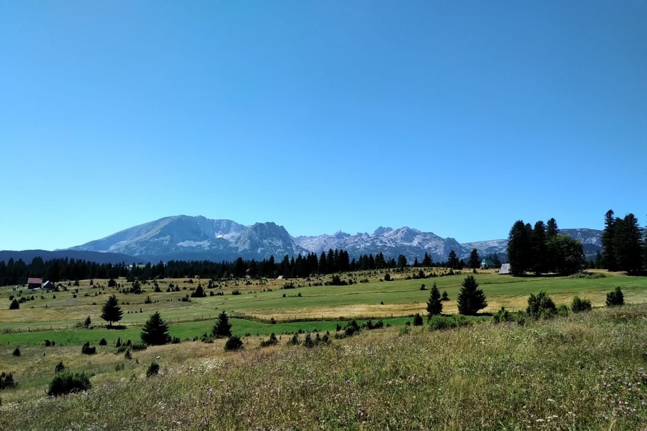 Grundstück zum Kauf provisionsfrei 31.393 m²<br/>Grundstück Zabljak