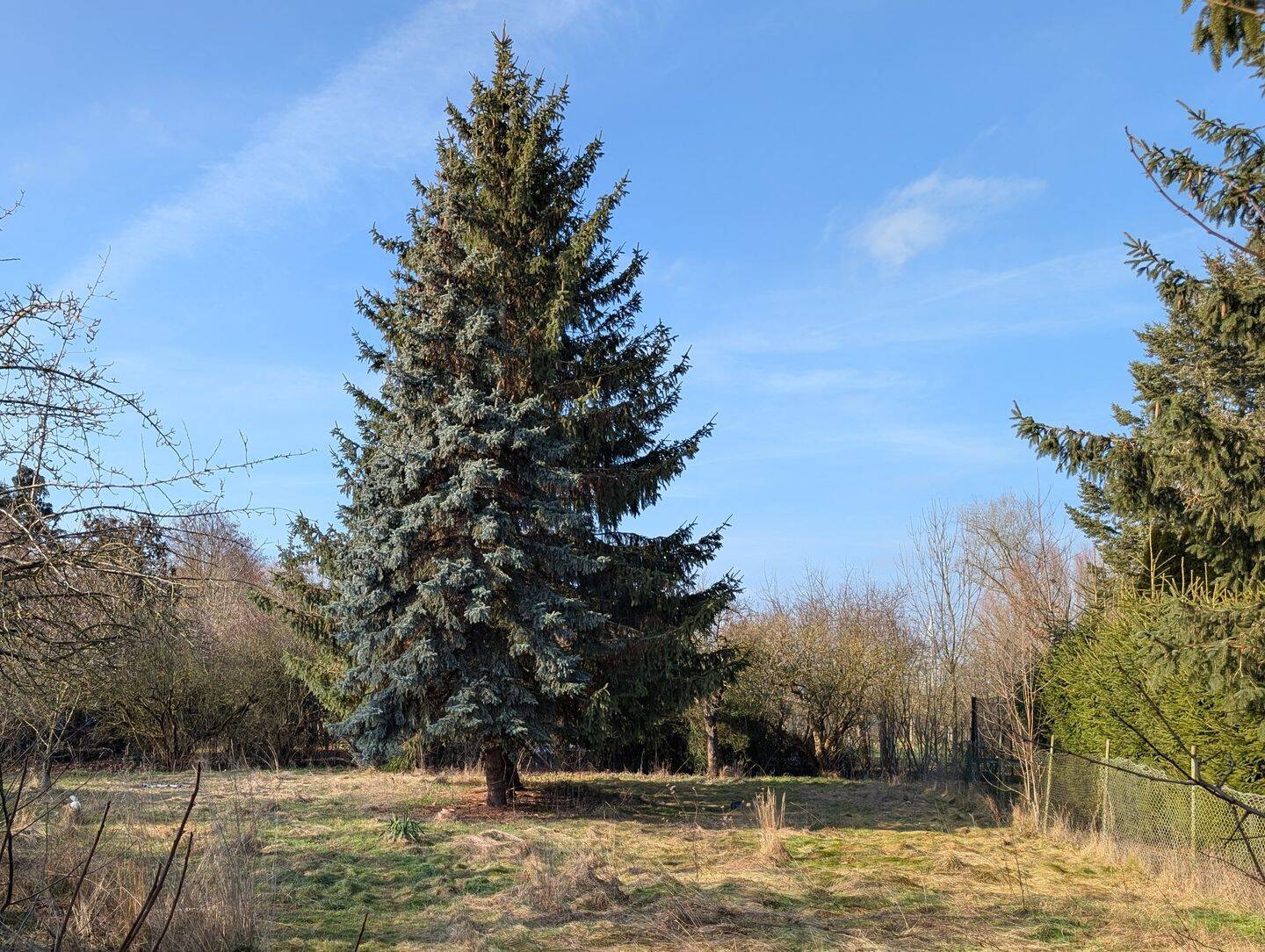 Einfamilienhaus zum Kauf - Ansicht 5