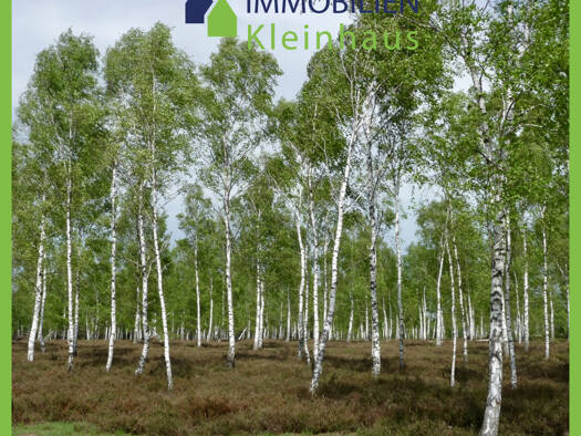 Land-/Forstwirtschaft zum Kauf 10.000 m² Grundstück Papenburg 26871