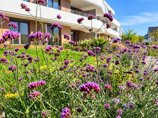 Terrassenwohnung zur Miete - Erstbezug 1.405 € 4,5 Zimmer 108,8 m² 3 Geschosse frei ab sofort Stöllerbachallee 58 Öhringen Öhringen 74613